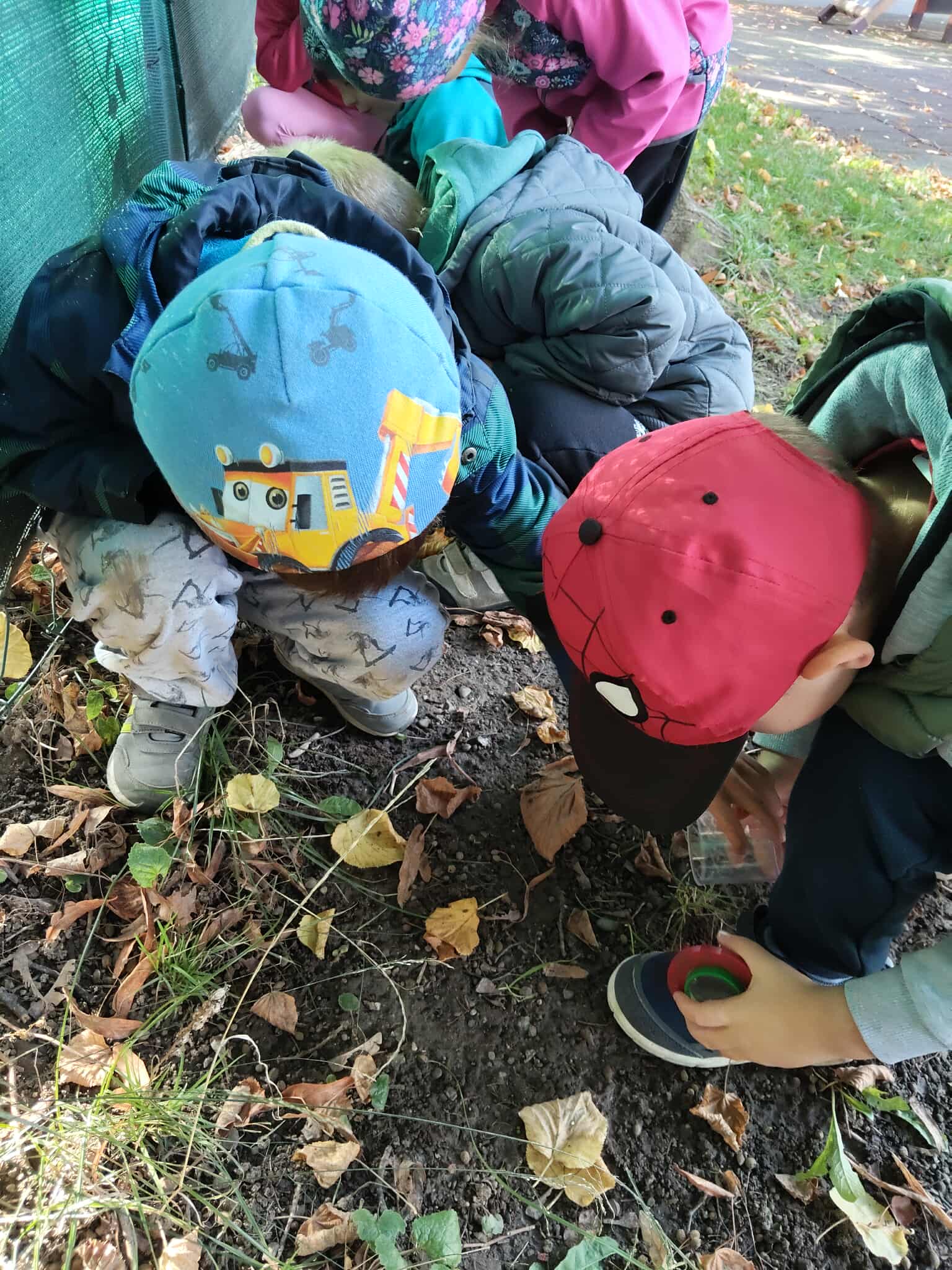 552506517_2521719458200009_1113230726869706644_n