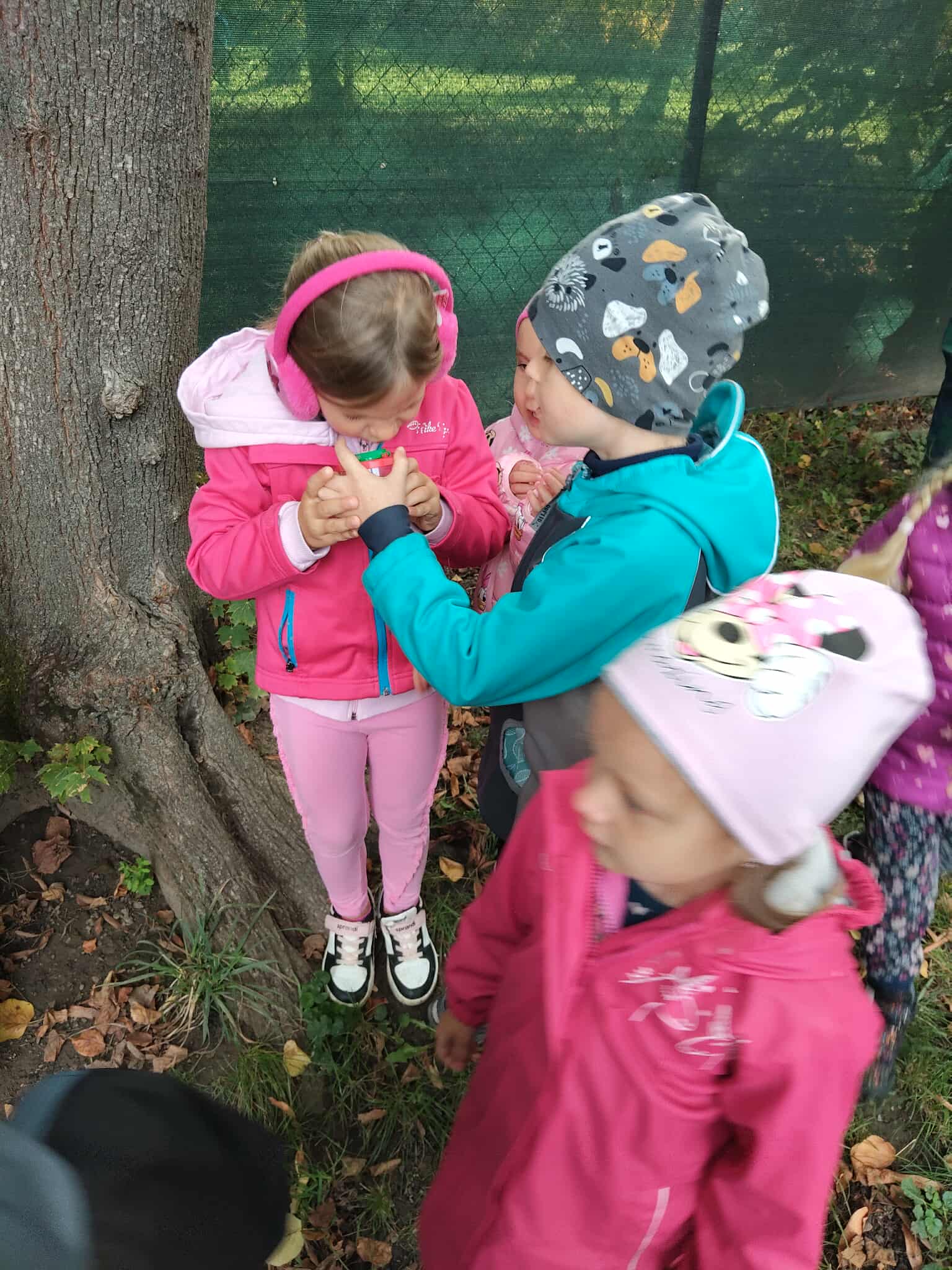 553120653_792116903550281_4302024916598522877_n