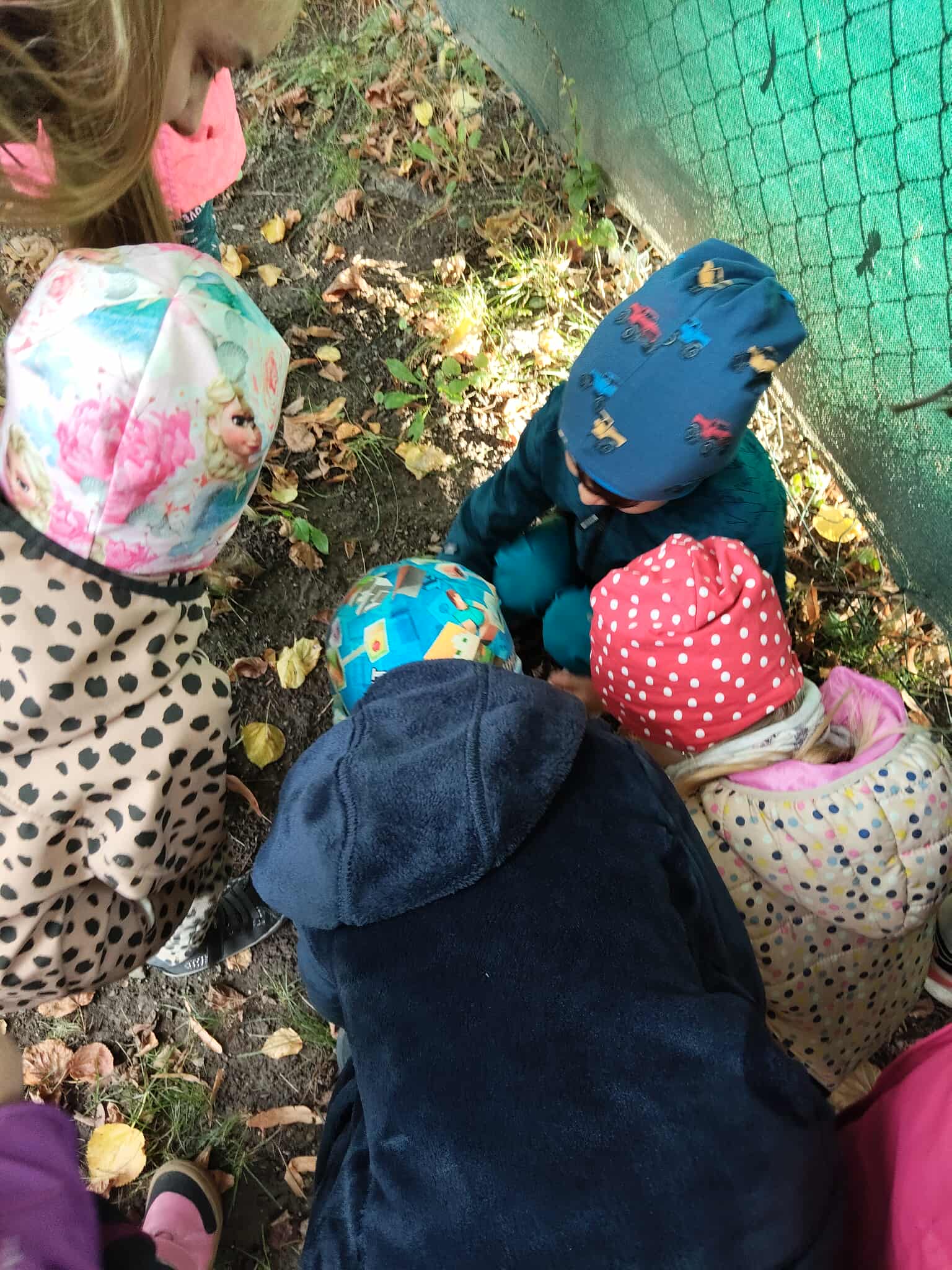 553141378_2190233104797568_4159881956924754624_n