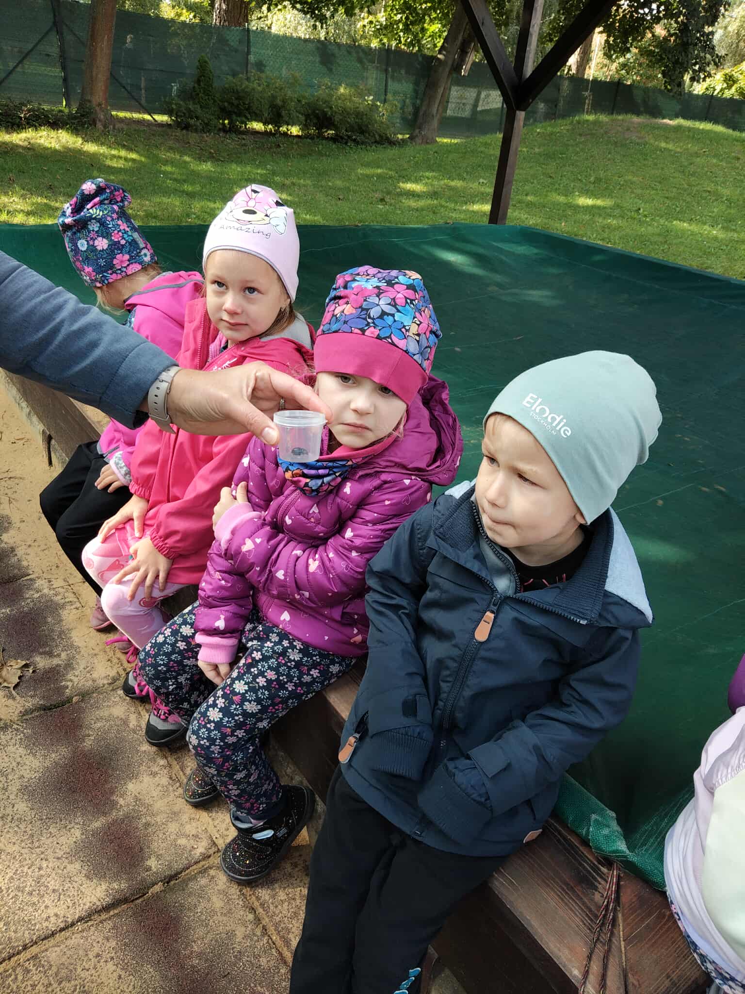 554737167_1884665638759513_5650834369135764617_n