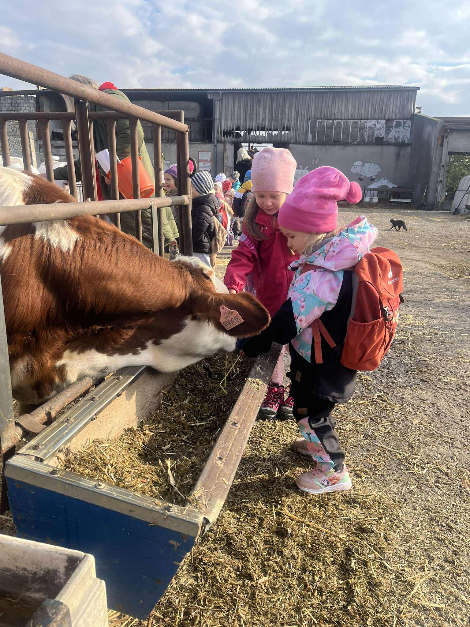 552257697_1755779961808763_8664575236164104432_n