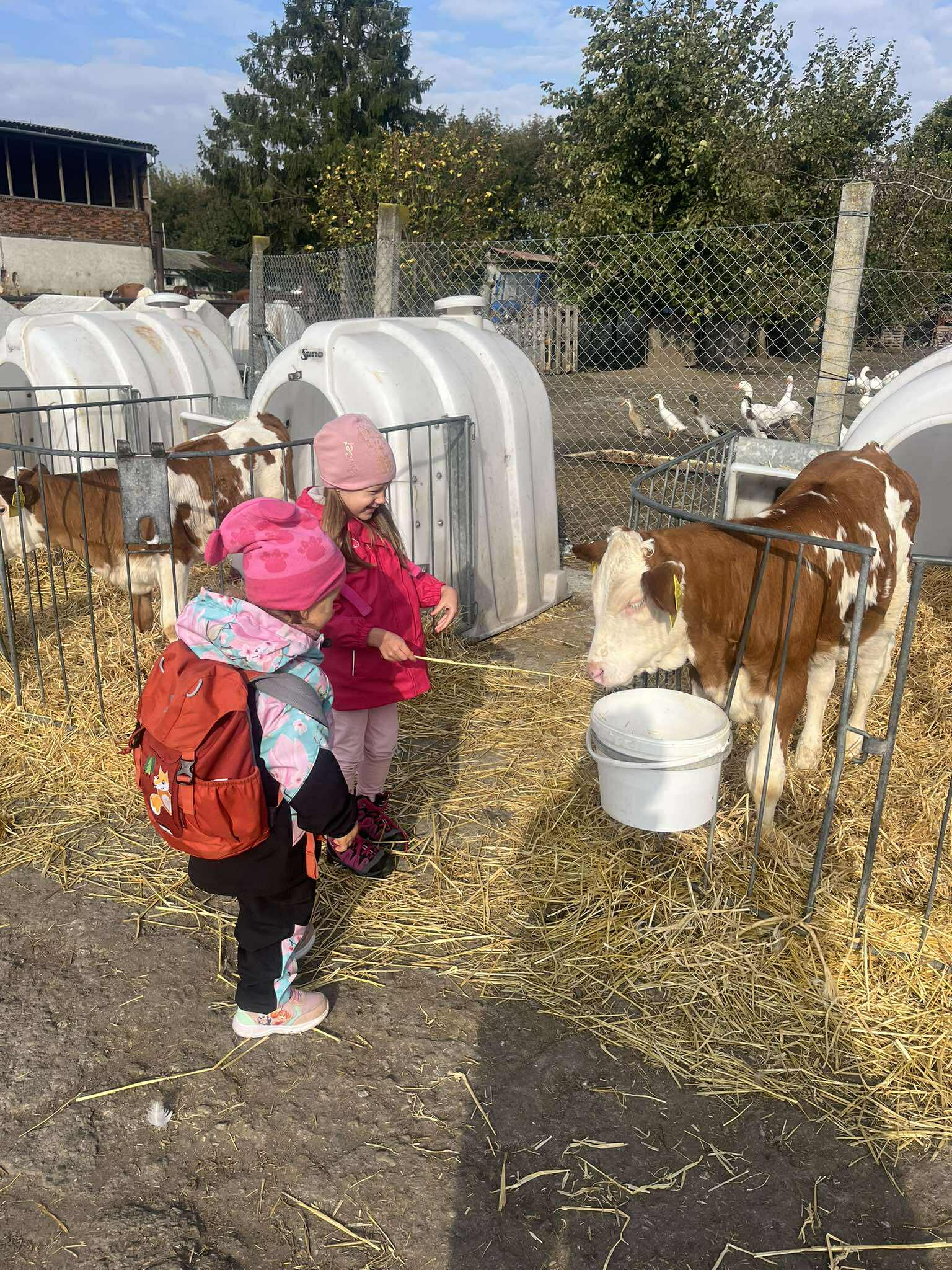 552698467_1611549116481858_7069952516901846846_n