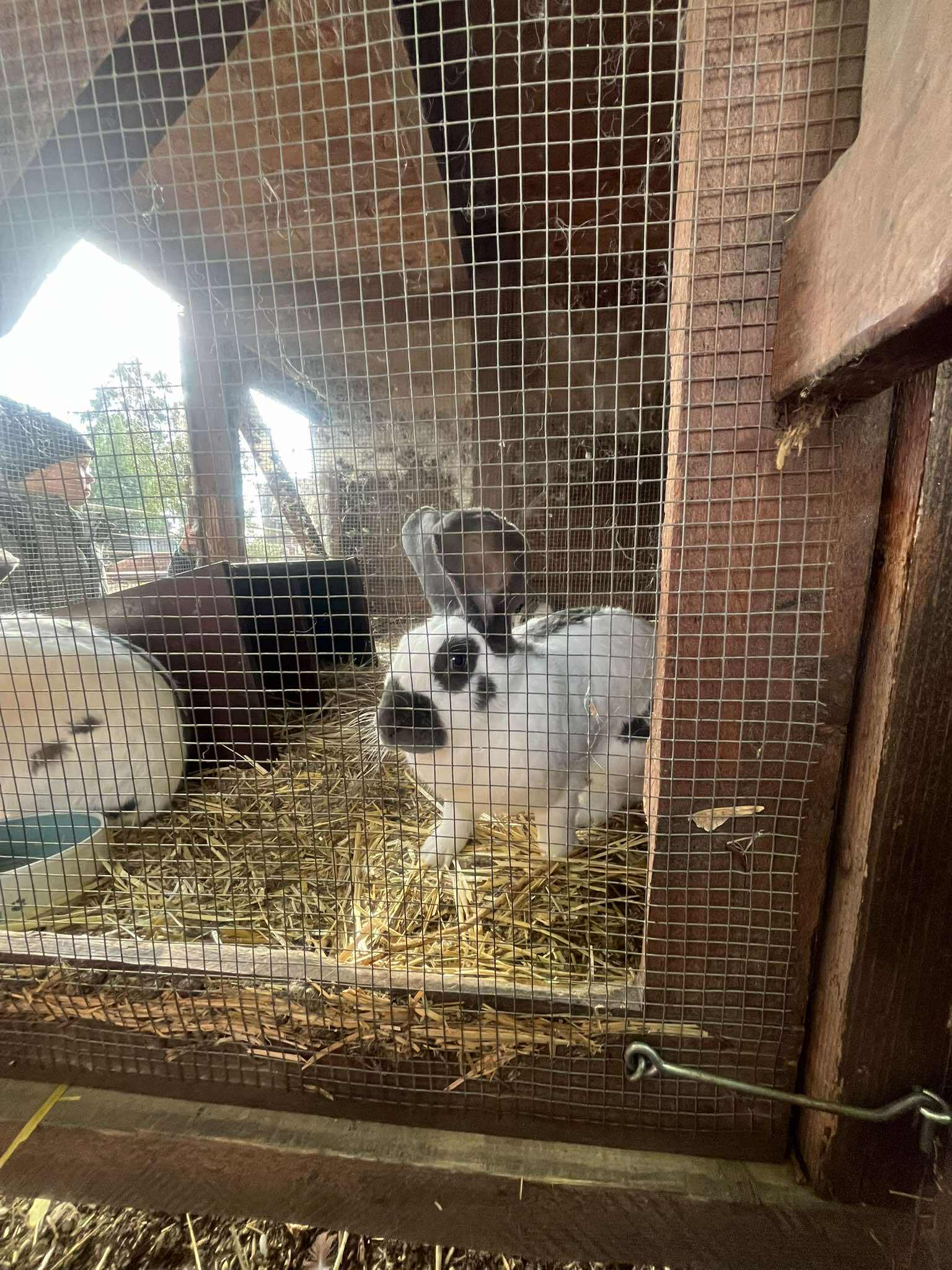 552973128_652913137871964_5618974827873216051_n