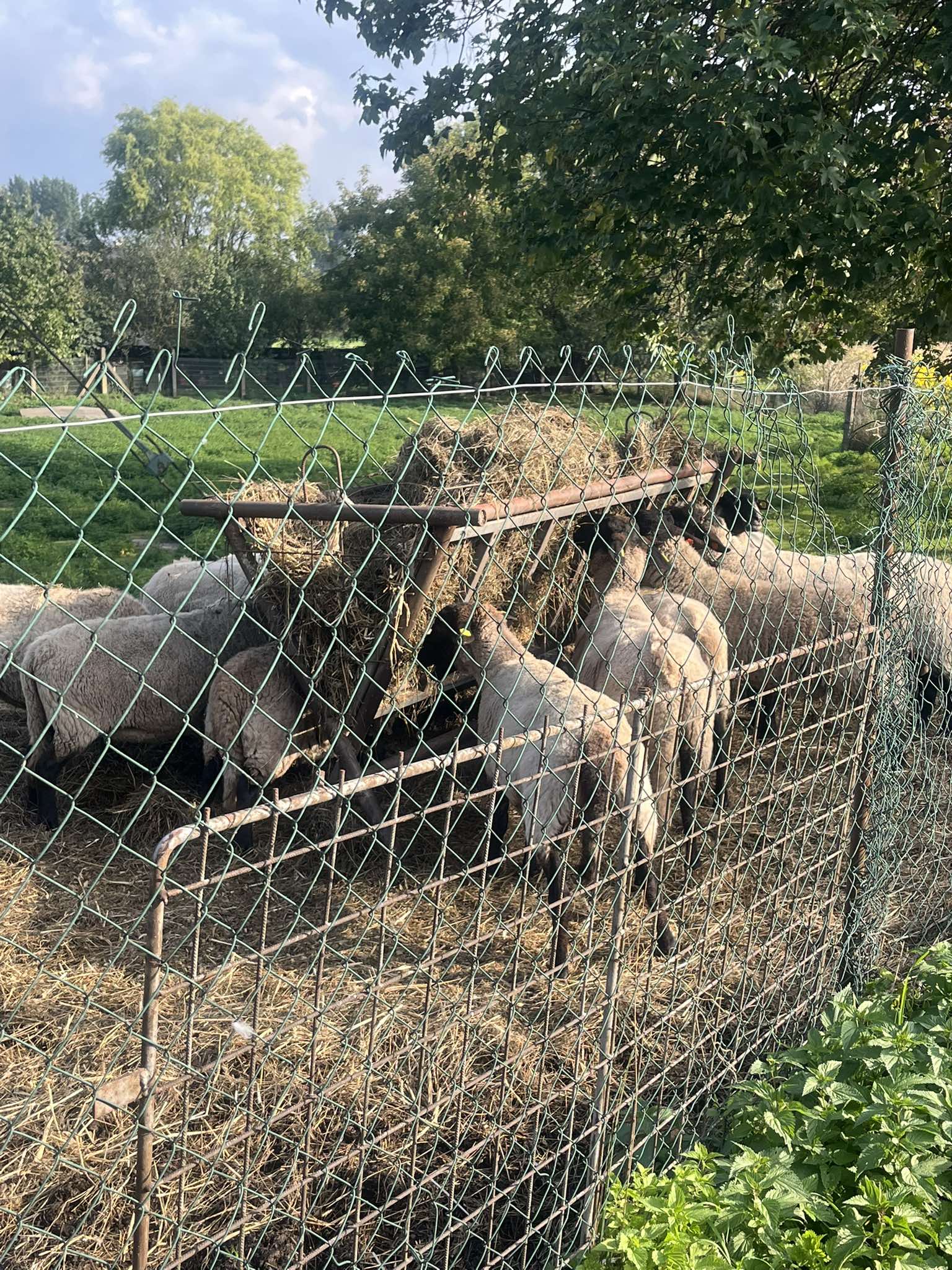 553283282_1200124075283769_5490409788215677414_n