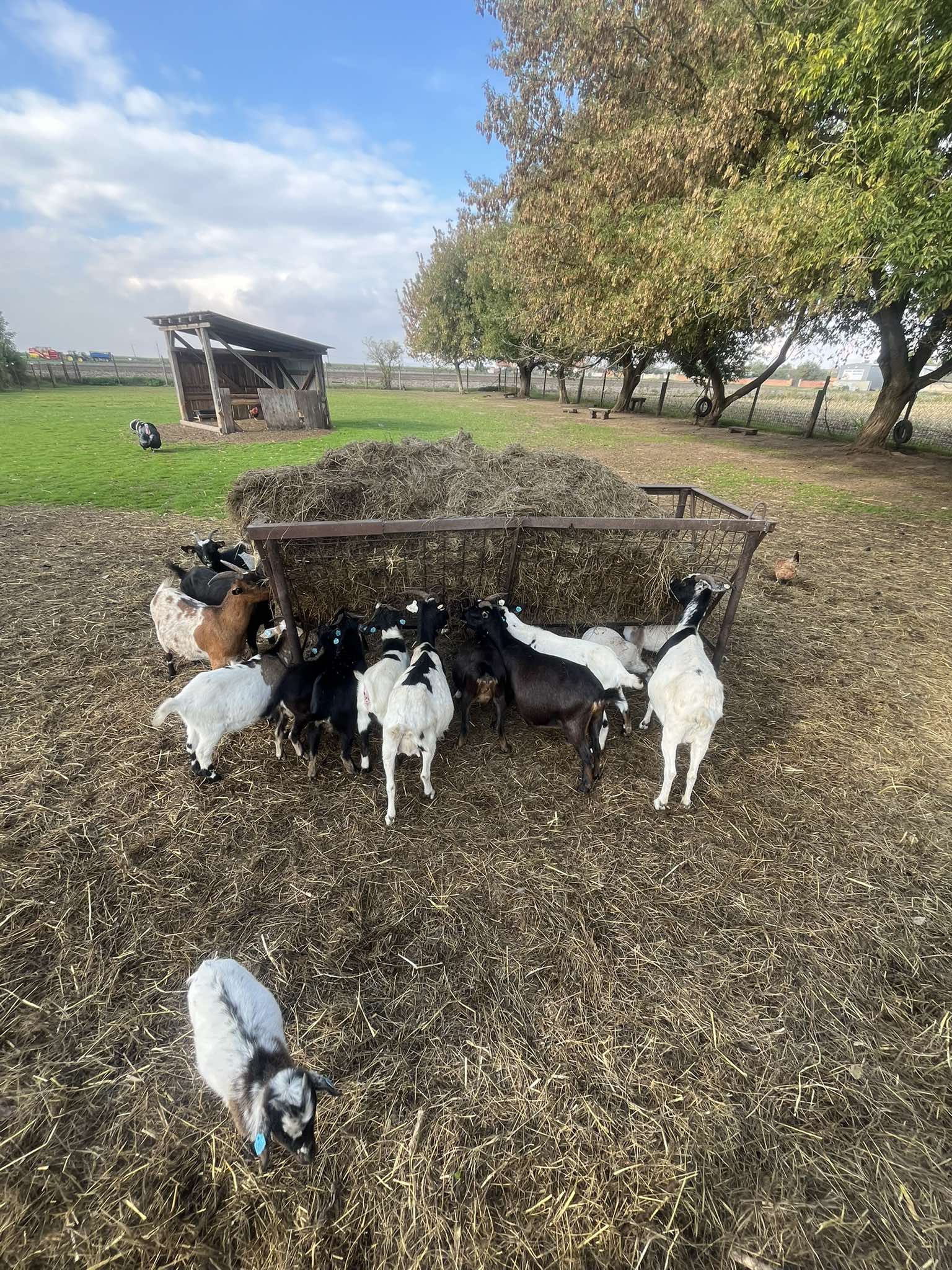 553296846_24546439255037629_8627252272153742862_n