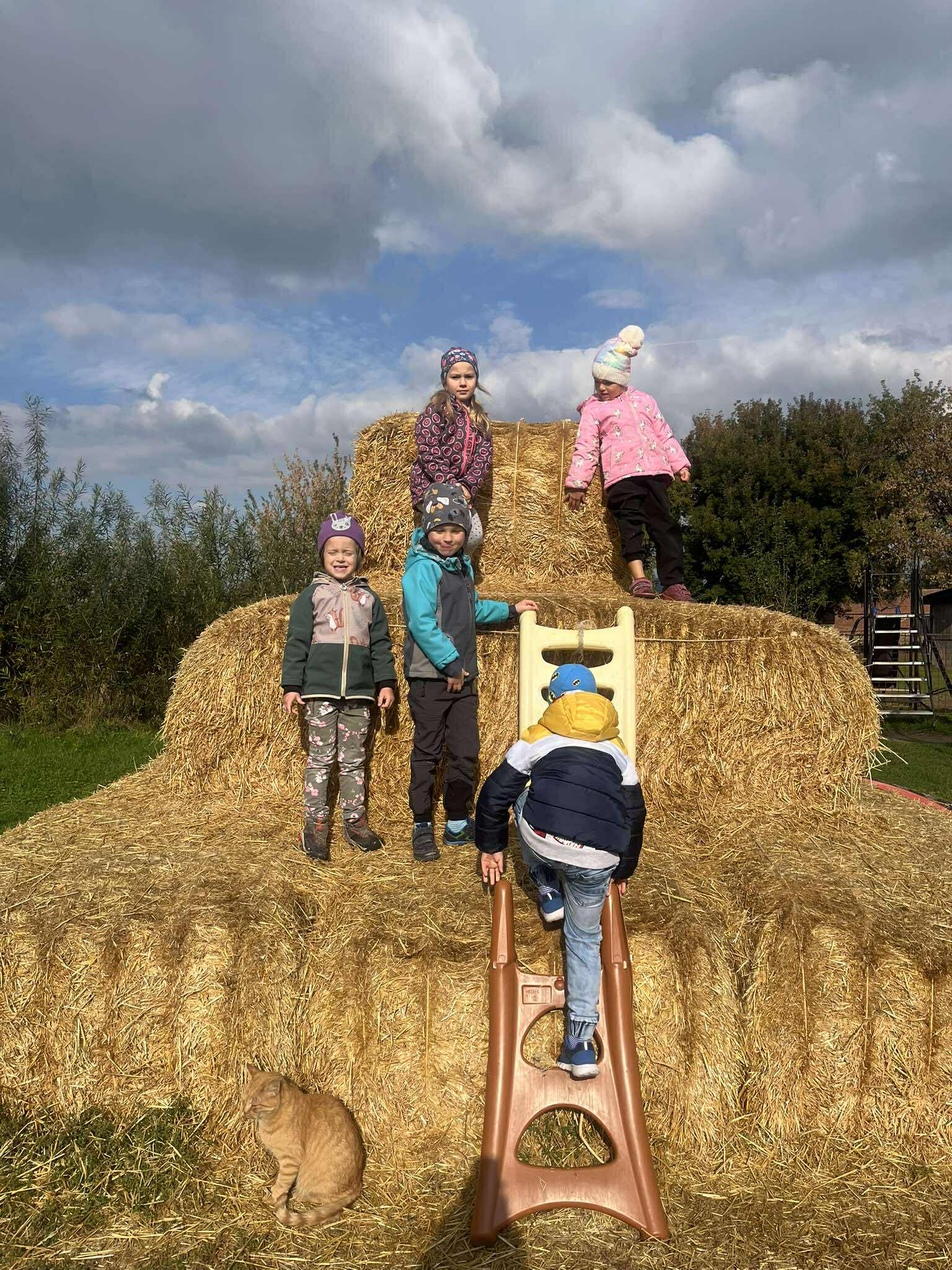 553892578_1121982472898471_8403653792127761359_n