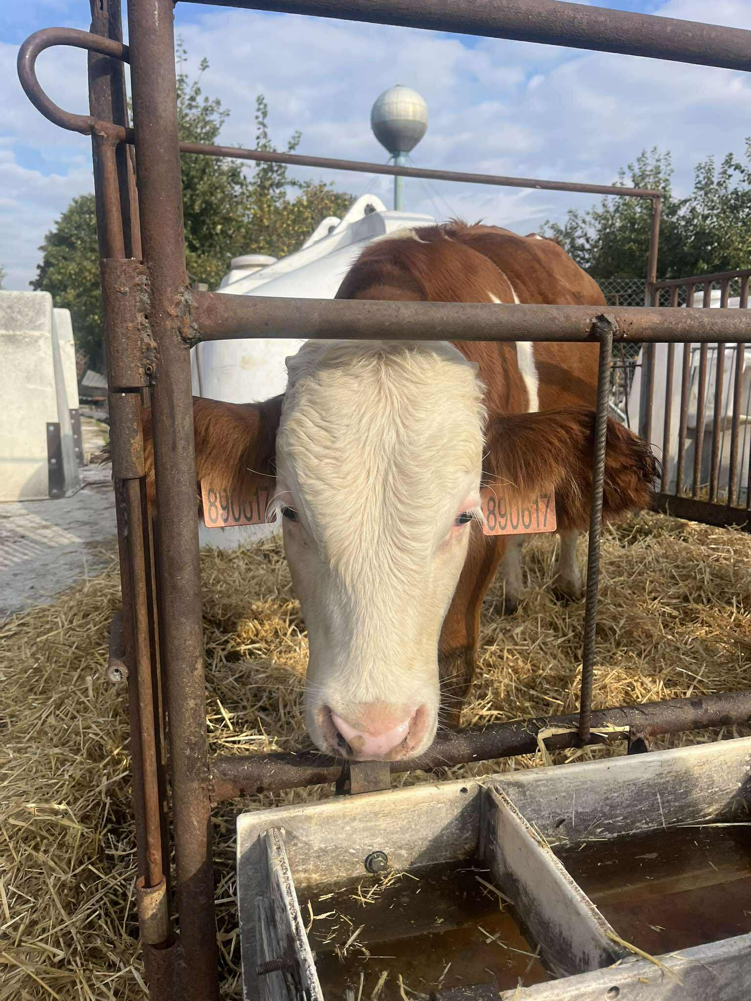 554185618_824295203621144_1608809862351775597_n