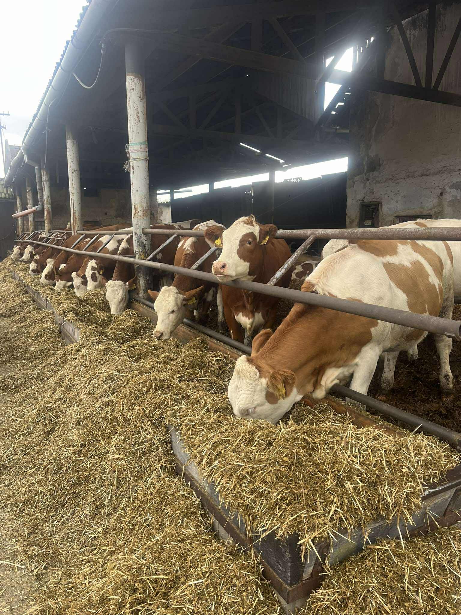 557069189_1076342964347123_8629536575520074332_n