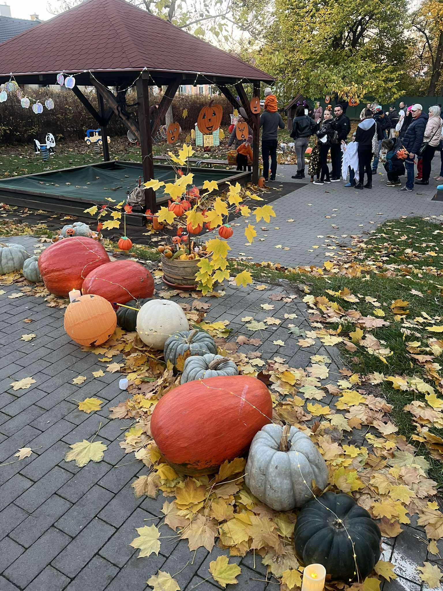 552078924_1392176439159475_7862169275013498442_n