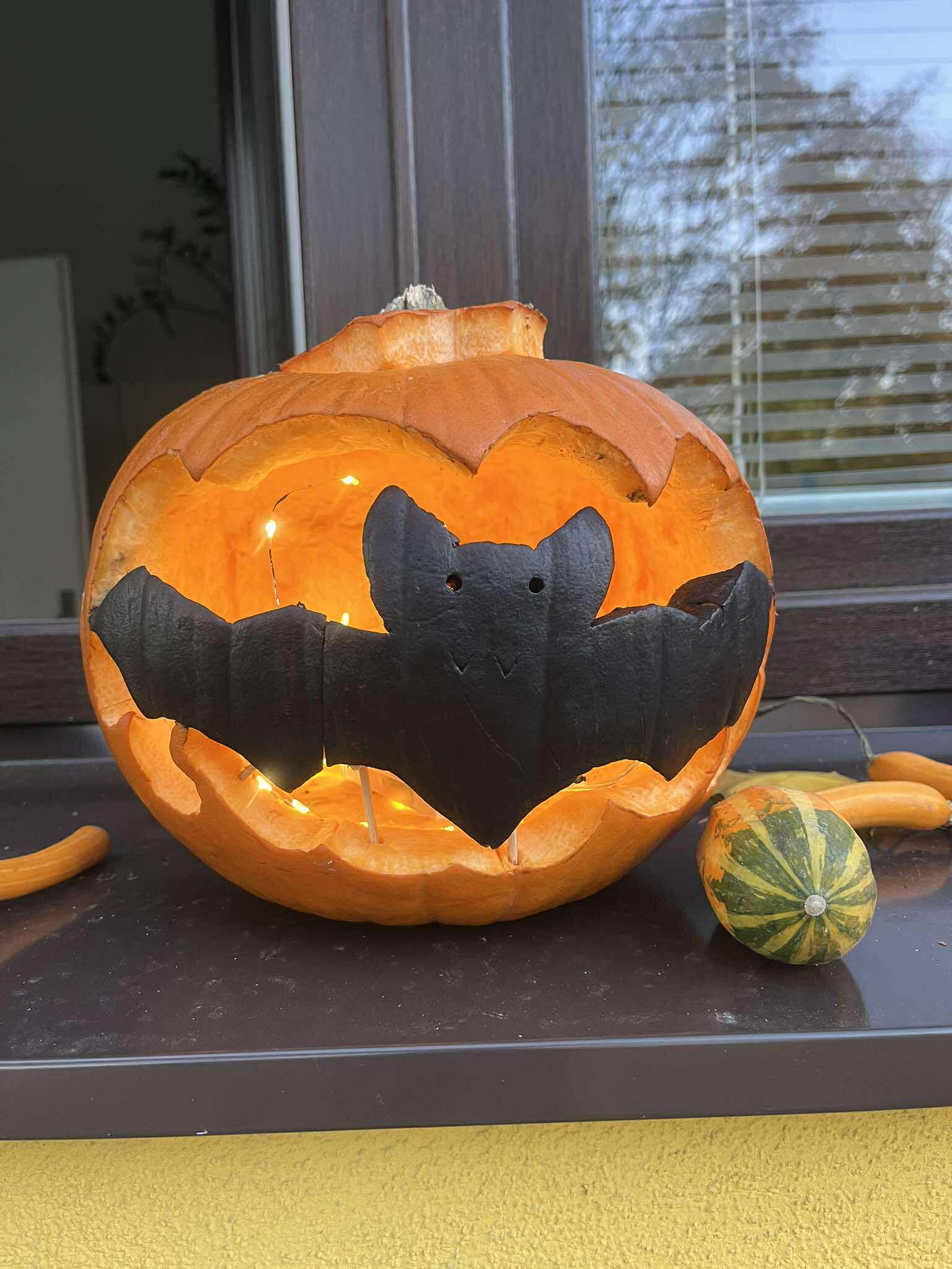 566632242_832043112632869_5041658127134656209_n