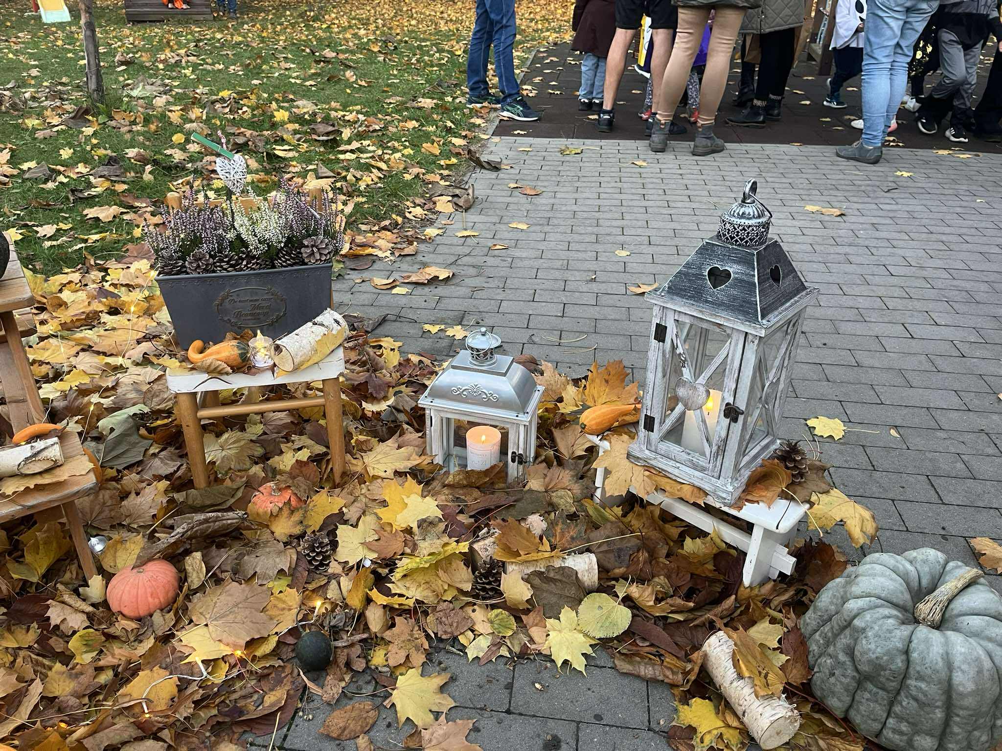 567642214_809740215148765_2883849814350346338_n