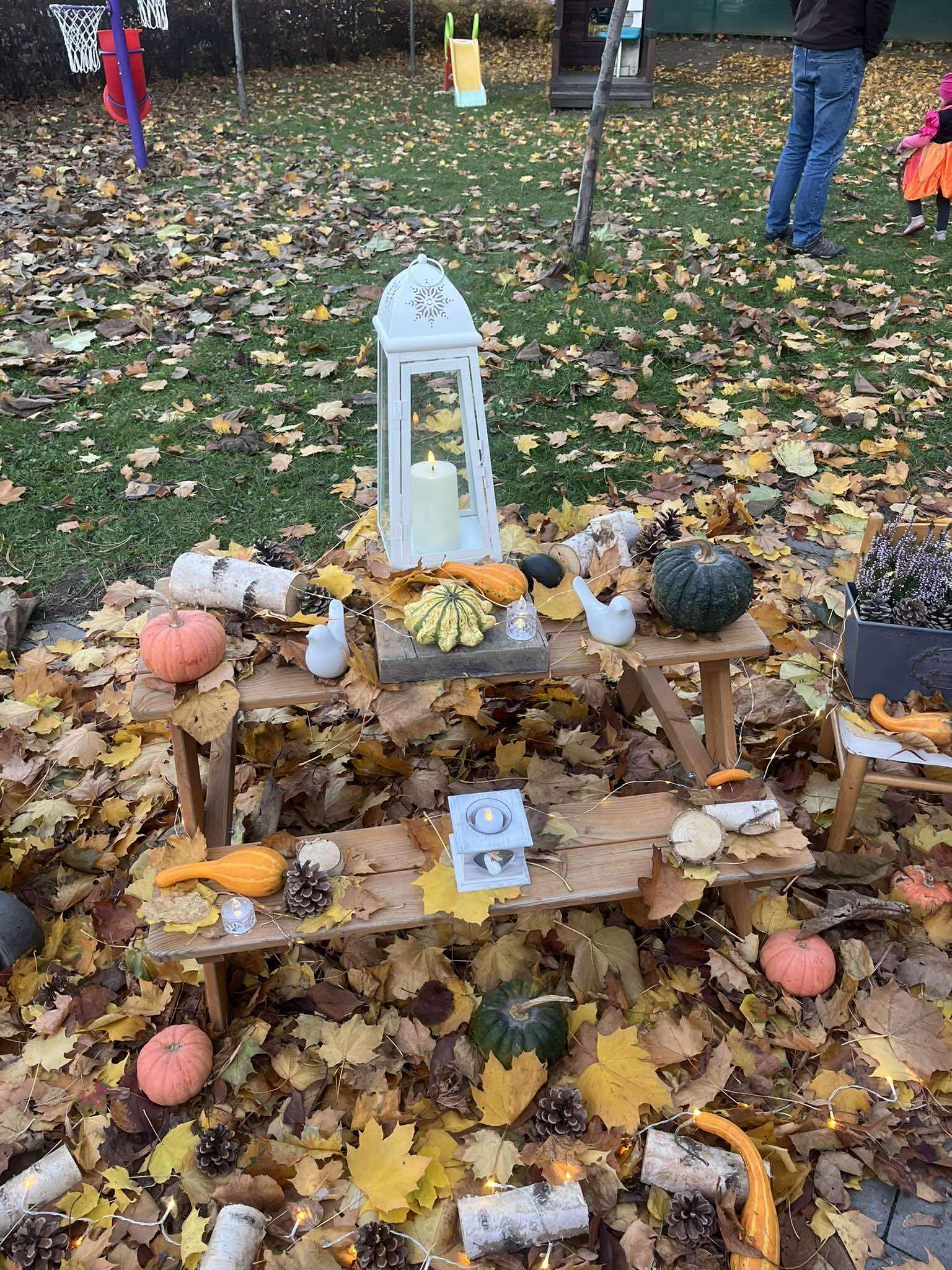 568228206_2594766820923050_2204390360299769640_n