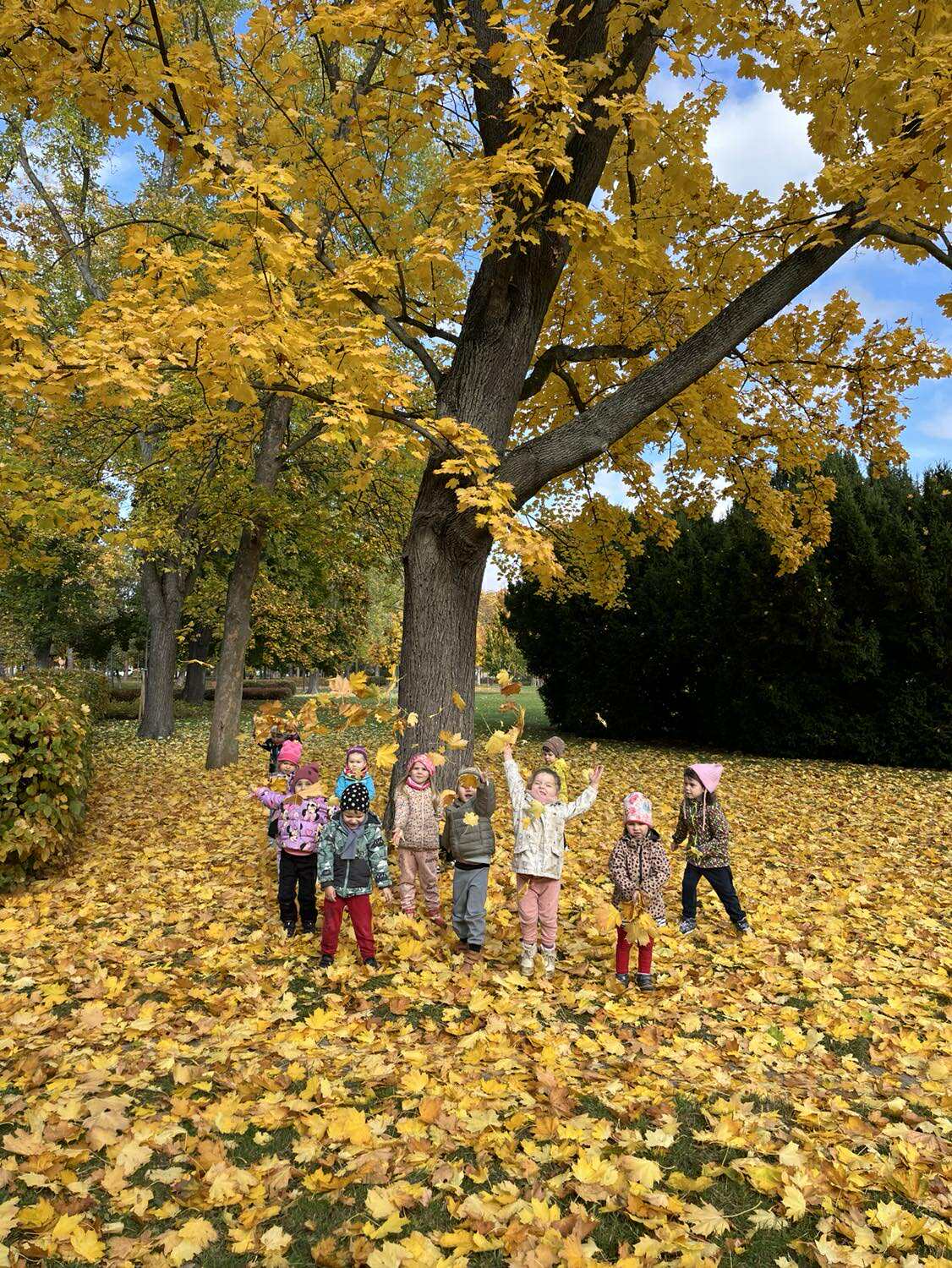 553573838_1573112957183127_3579584714897746609_n