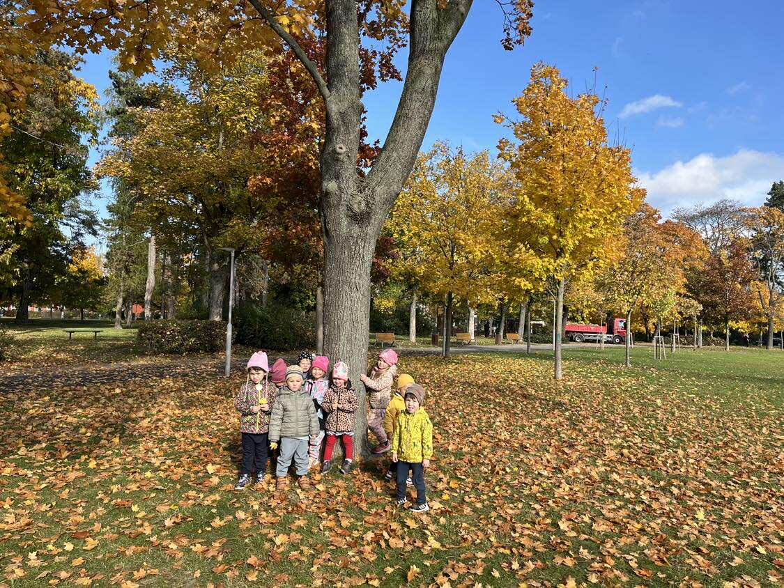 556858936_1466063121350119_3846658860010151511_n