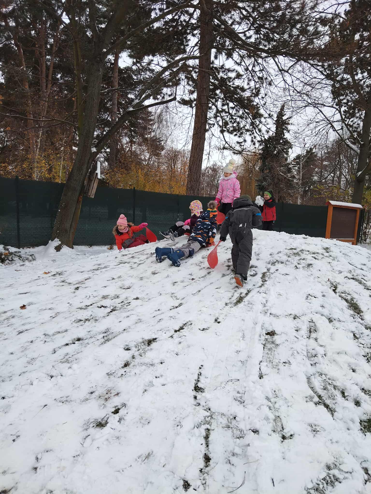 591620729_2011055419437577_8969393301106046253_n